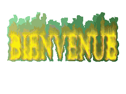 bienvenue sur mon blog